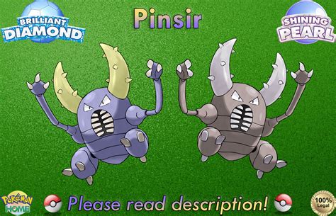 pinsir shiny|Shiny Pinsir .